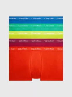 Calvin Klein Lot De 5 Boxers Taille Basse Grande Taille - Pride