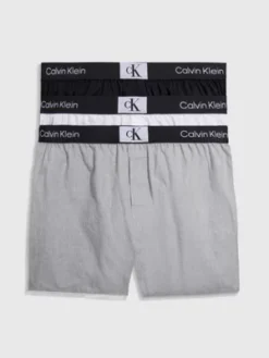 Calvin Klein Lot De 3 Caleçons Slim Fit - CK96