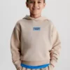 Calvin Klein Sweat-shirt à Capuche En Coton Bio Avec Logo