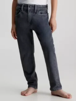 Calvin Klein Jean Dad Surteint