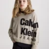 Calvin Klein Pull Relaxed Avec Logo