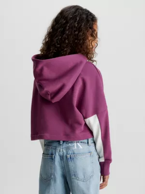 Calvin Klein Sweat-shirt Ă Capuche Boxy Color-block Avec Logo â Image 2