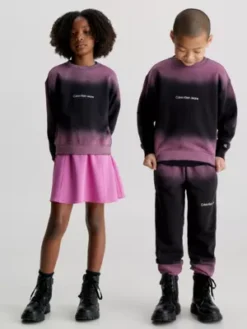 Calvin Klein Sweat-shirt Relaxed Unisexe Effet Grosses éclaboussures