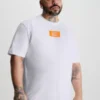 Calvin Klein T-shirt Grande Taille Avec Insigne