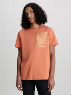 Calvin Klein T-shirt Avec Imprimé Palmier