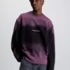 Calvin Klein Sweat-shirt Relaxed Avec Imprimé éclaboussure